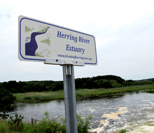 02At Mouth of Herring River