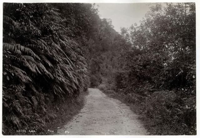 3Buller Road 1890s