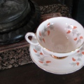 One more teacup from the very fortunate summer bounty, 3 large boxes full.