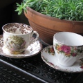 Two lovely teacups that traveled across the ocean from the hands of artist Elly Wright @EllyWrightArt