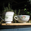  Two more teacups from artist  (marji woodruff.com), check out her series of meaningful ceramics