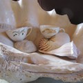 Two teacups in a shell