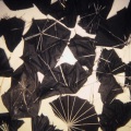 Broken umbrellas, collected from the streets of Chicago, pinned to my studio wall