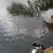 18121683-Sri_Lanka_River_Water_4 thumbnail