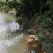 18121687-Sri_Lanka_River_Water_8 thumbnail