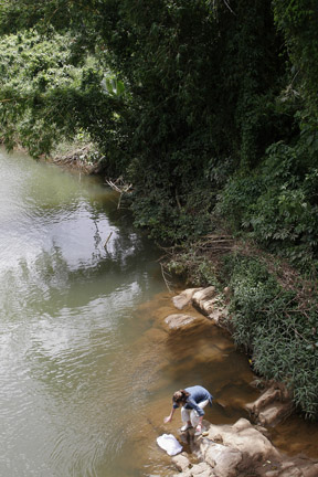 18121687-Sri_Lanka_River_Water_8