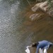18121691-Sri_Lanka_River_Water_11 thumbnail
