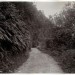 3Buller Road 1890s thumbnail